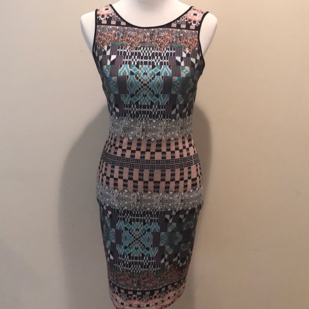 Clover Canyon body con dress